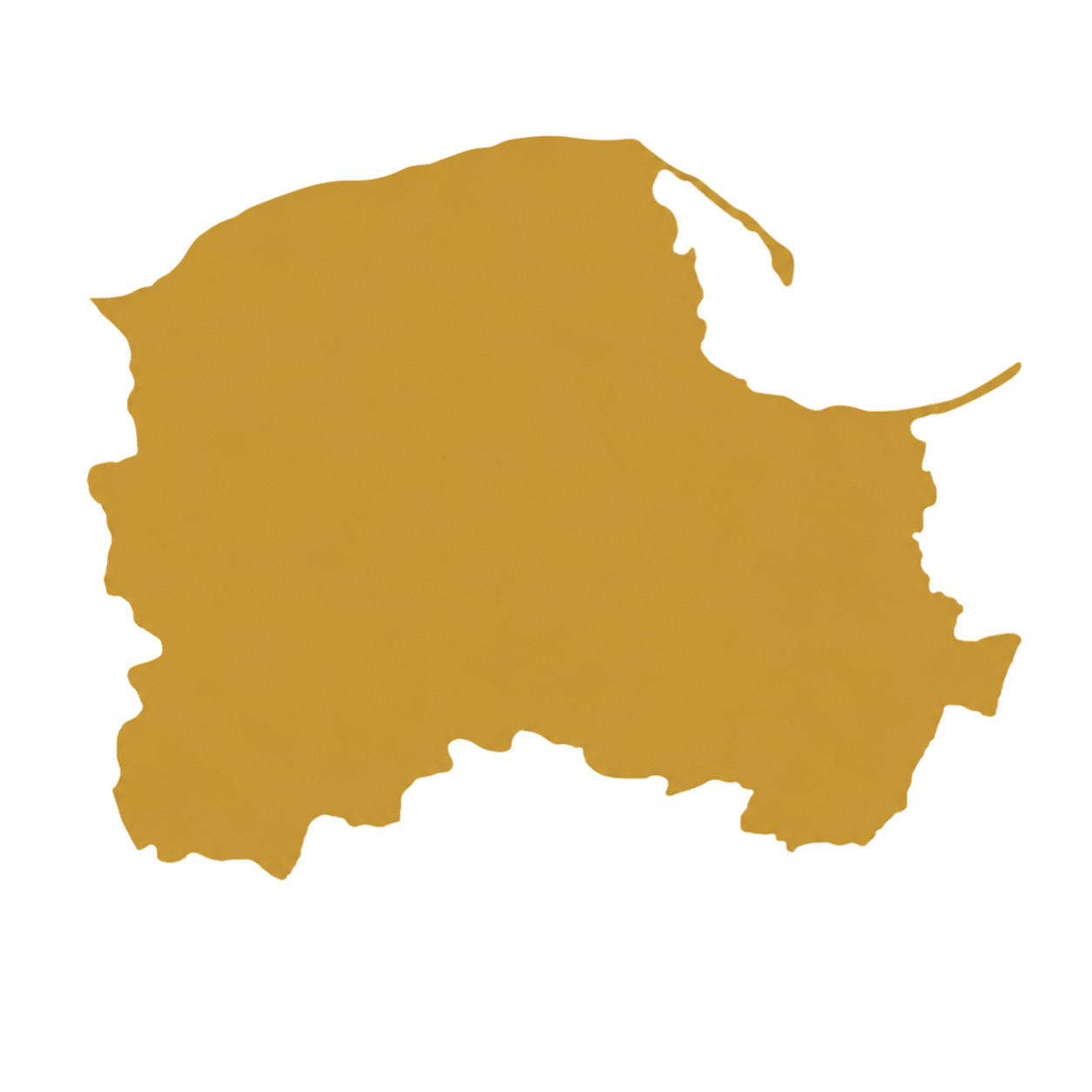 Obszar działania